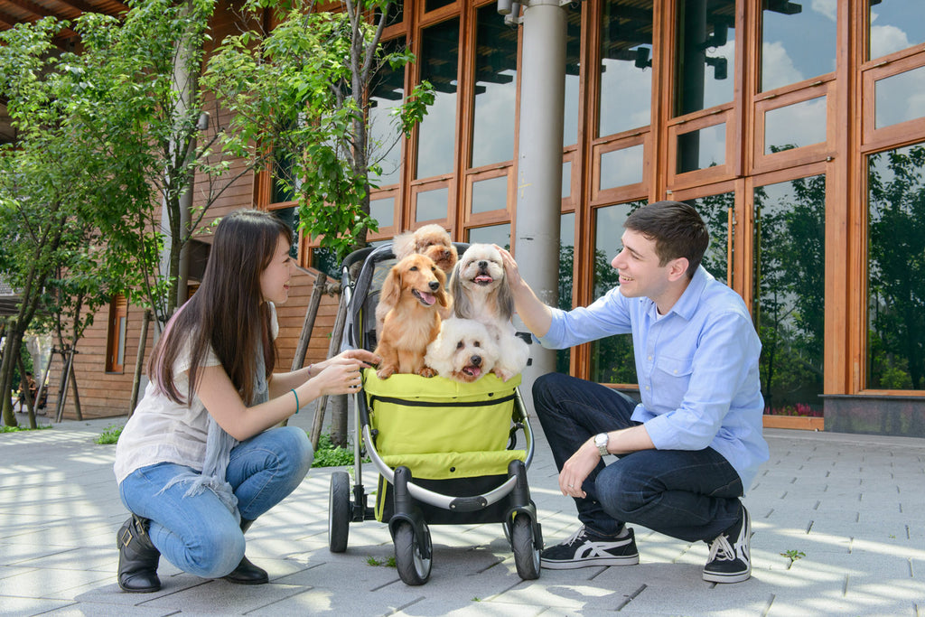 Elegant Retro I Dog Stroller - Apple Green-Ibiyaya