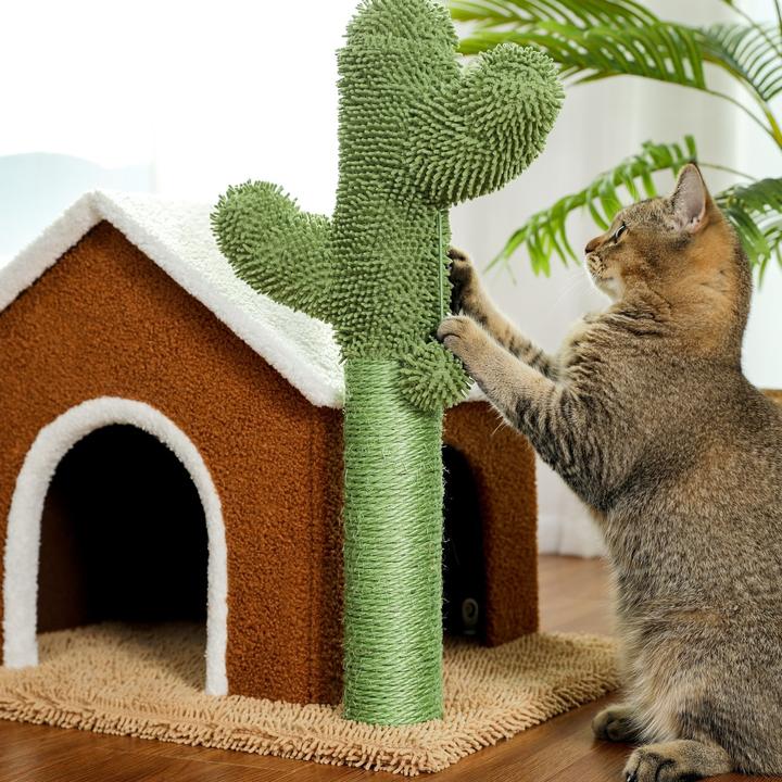 Desert House with Cactus Cat Scratcher-Pawz