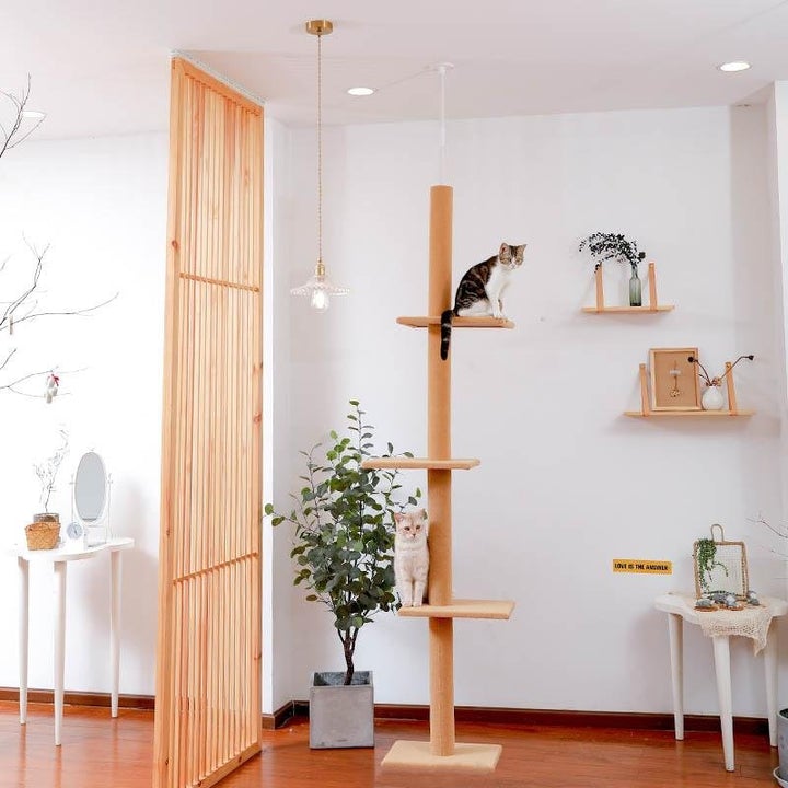 Ceiling Crawler Cat Tree (2 Colours)-Pawz
