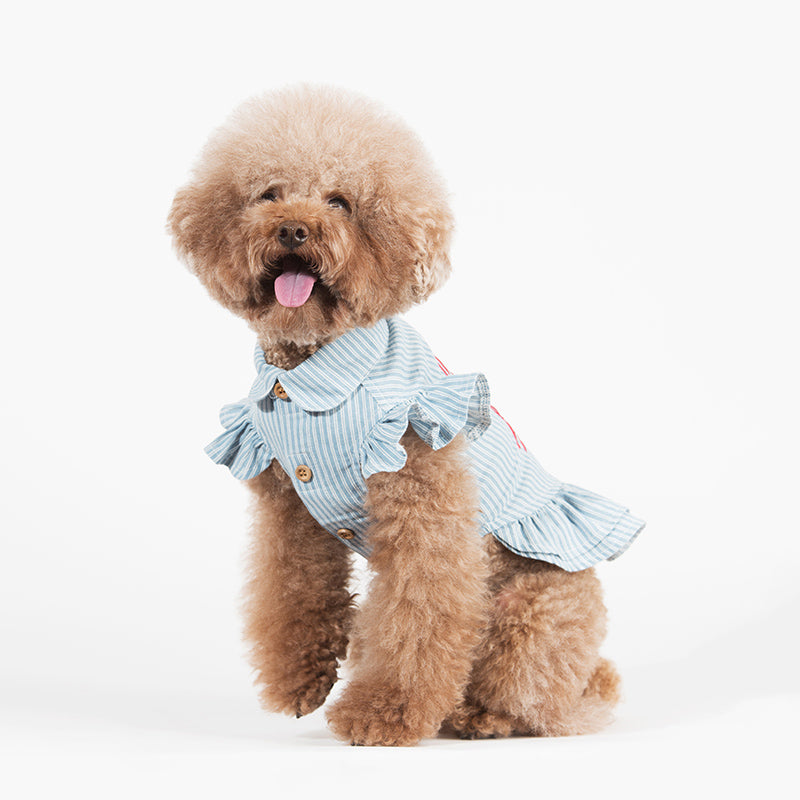 Club Garcon Light Denim Dog Dress-House of Pets Delight