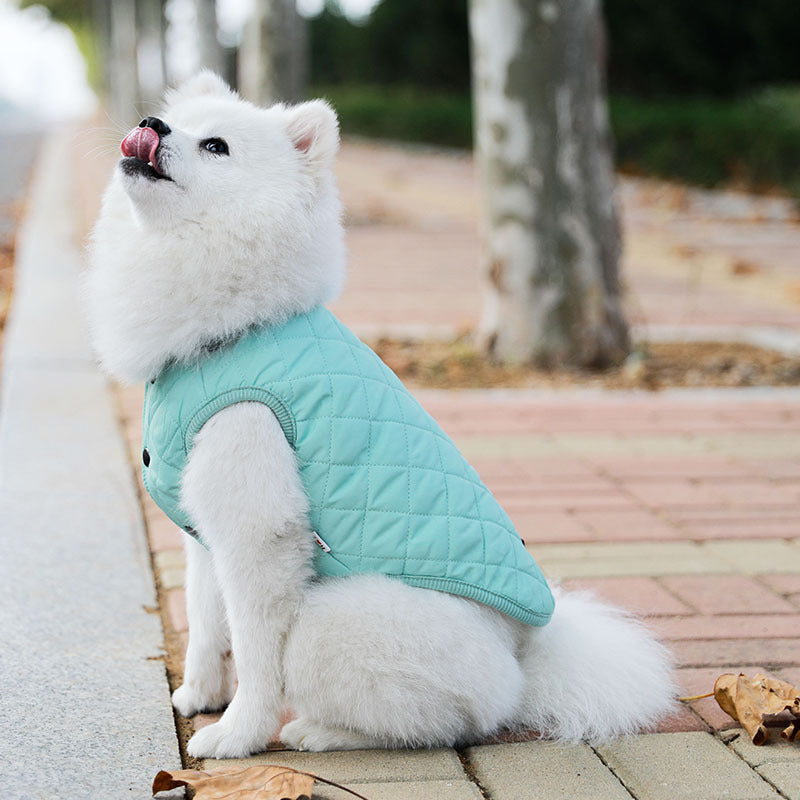 Padded Luxe Dog Vest - Blue-House of Pets Delight