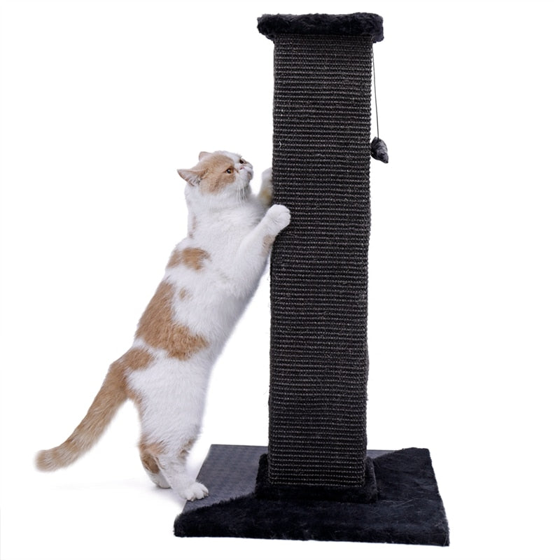 82cm Ultimate Cat Scratching Post in Black-House Of Pets Delight