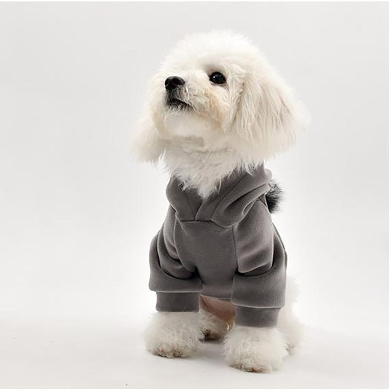 Thick Cotton Pom Pom Pet Hoodie-House of Pets Delight