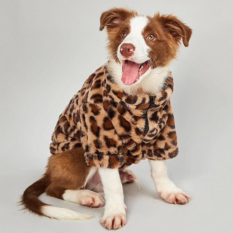Zip Up Leopard Dog Jacket-House Of Pets Delight