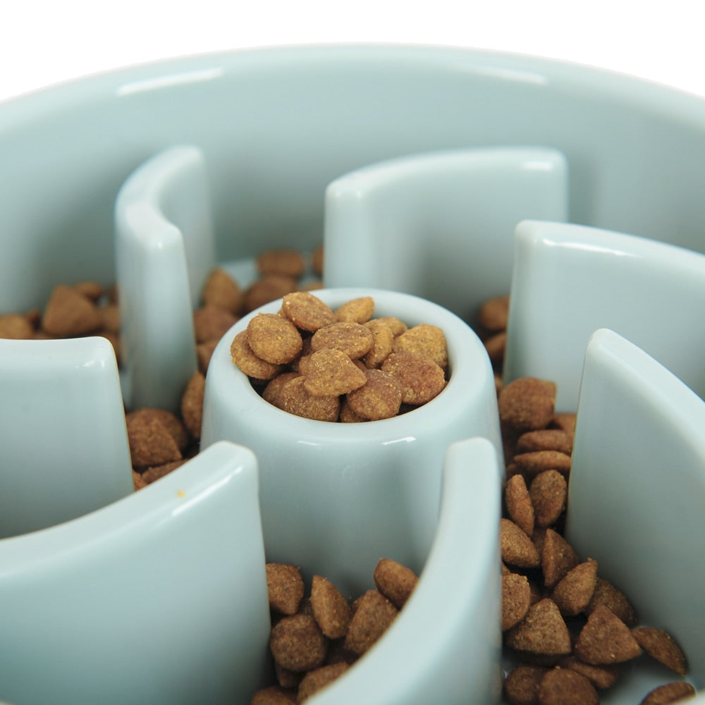 Slow Training Pet Feeder in Pastel Blue-House of Pets Delight