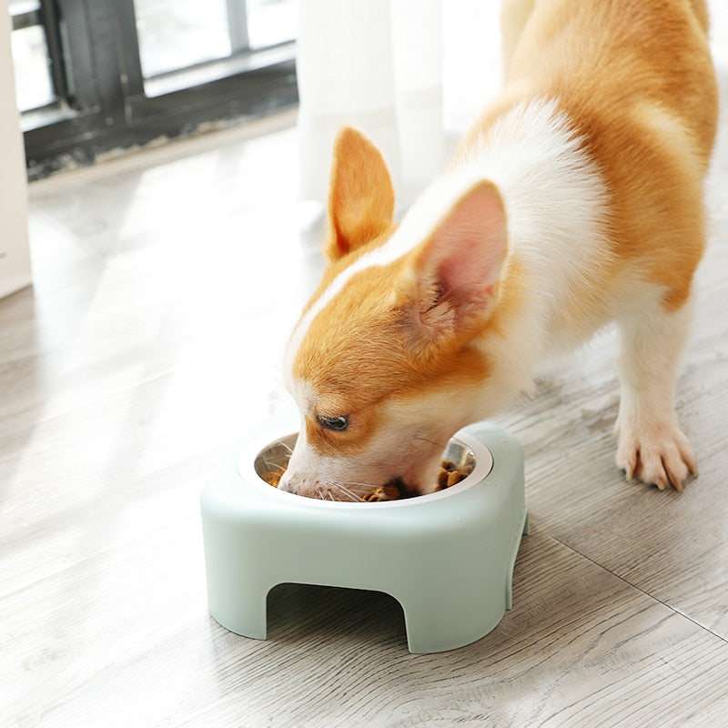 Detachable Pet Bowl in Pastel Green-House of Pets Delight
