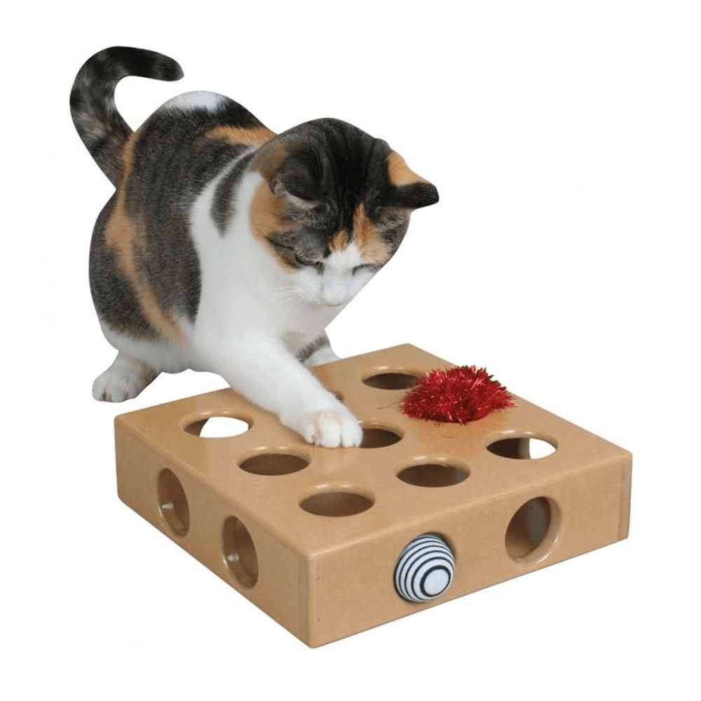 Smart Cat Original Peek-and-Play Interactive Cat Toy Box with Bonus Toys