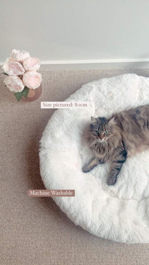 Soothing Calming Donut Pet Bed in White-House of Pets Delight